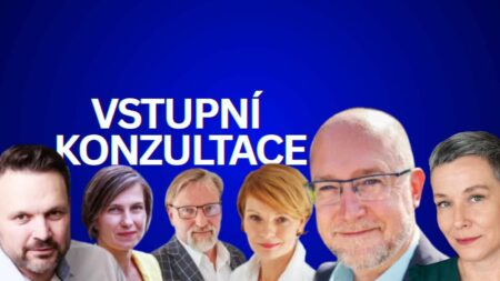 Vstupní konzultace