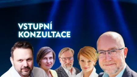 Vstupní konzultace