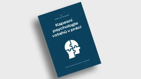 Kapesní psychologie vztahů v práci (ebook)