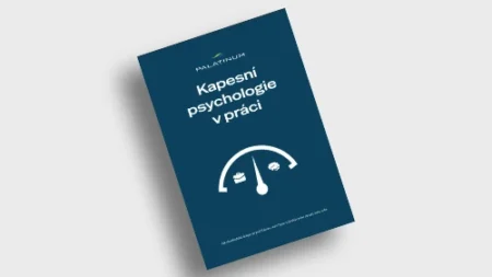 Jak zvládat tlak, role a vztahy v práci s větším klidem a jistotou (ebook)
