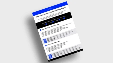 Sebereflexní dotazník: Kapesní psychologie v práci